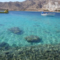 фото из отзыва ID 183528