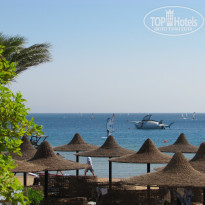 фото из отзыва ID 183567