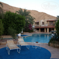 фото из отзыва ID 183591