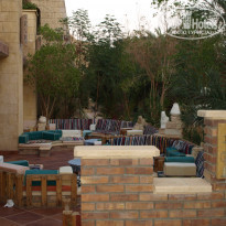 фото из отзыва ID 183591