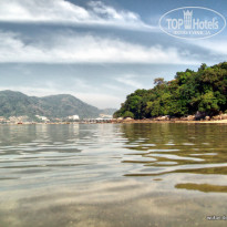 фото из отзыва ID 183716