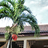 фото из отзыва ID 183716