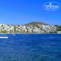 фото из отзыва ID 1830039