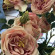 фото из отзыва ID 1830250