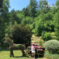 фото из отзыва ID 1830273