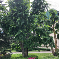 фото из отзыва ID 1830273