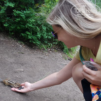 фото из отзыва ID 1830273