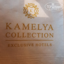 фото из отзыва ID 1830255