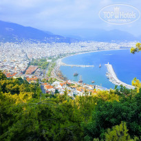 фото из отзыва ID 1830261