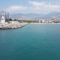 фото из отзыва ID 1830261