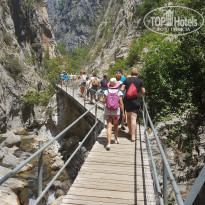 фото из отзыва ID 1830261