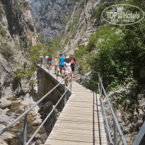 фото из отзыва ID 1830261