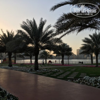 фото из отзыва ID 1830623