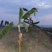 фото из отзыва ID 1830776