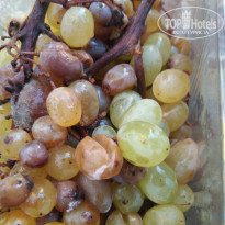 фото из отзыва ID 1830783