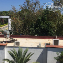 фото из отзыва ID 1830993