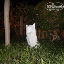 фото из отзыва ID 1831114