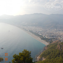 фото из отзыва ID 1831114