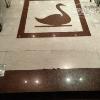 фото из отзыва ID 1831147