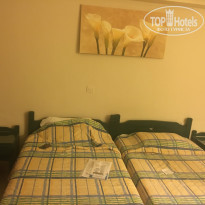 фото из отзыва ID 1831155