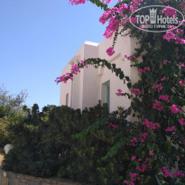 фото из отзыва ID 1831220