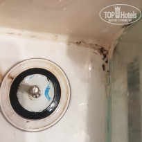 фото из отзыва ID 1831180