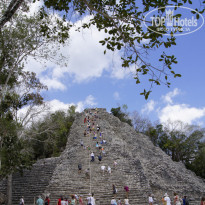 фото из отзыва ID 1831250