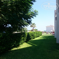 фото из отзыва ID 1831319