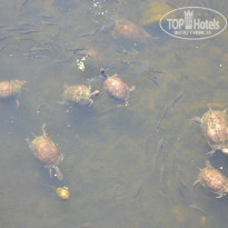 фото из отзыва ID 1831355