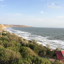 фото из отзыва ID 1831356