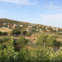 фото из отзыва ID 1831356