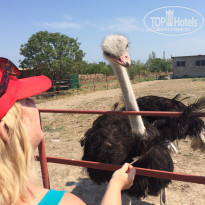 фото из отзыва ID 1831356