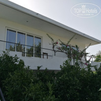 фото из отзыва ID 1831350