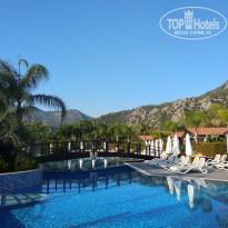 фото из отзыва ID 1831518