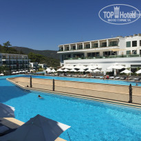 фото из отзыва ID 1831519