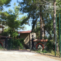 фото из отзыва ID 1831513