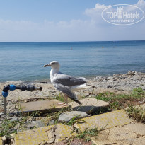 фото из отзыва ID 1831549