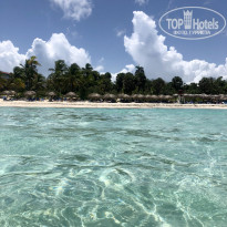 фото из отзыва ID 1831562