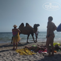 фото из отзыва ID 1831666