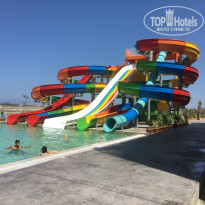 фото из отзыва ID 1831727