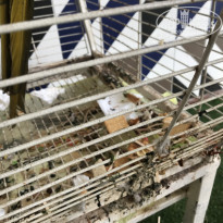 фото из отзыва ID 1831767