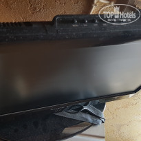 фото из отзыва ID 1832145