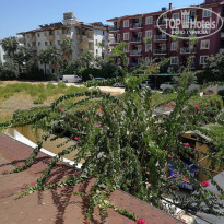 фото из отзыва ID 1832193