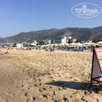 фото из отзыва ID 1832193