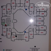 фото из отзыва ID 1832197