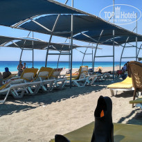 фото из отзыва ID 1832082