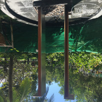 фото из отзыва ID 1832071