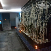 фото из отзыва ID 1832488