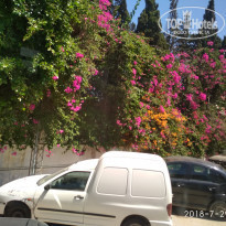 фото из отзыва ID 1832490