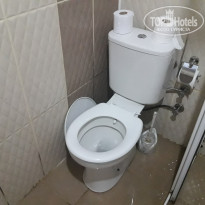 фото из отзыва ID 1832529